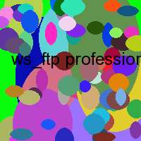 ws_ftp professional 2007 serial