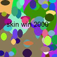 skin win 2000