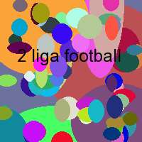 2 liga football